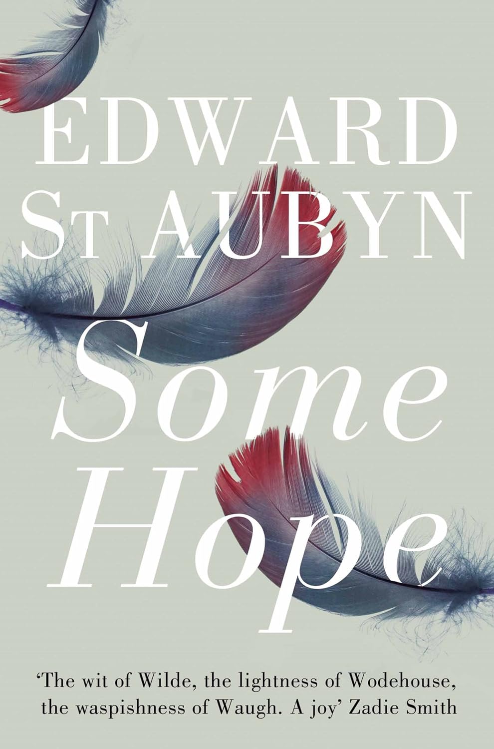 81J2dL0lESL._SL1500_ Edward St Aubyn