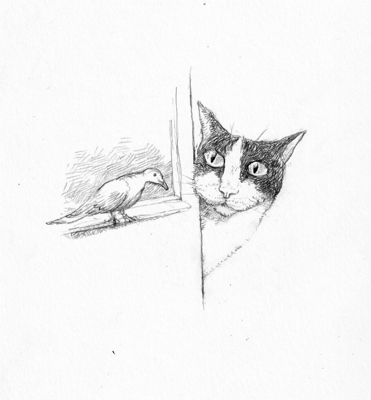 Elisabetta's cat (1) Edward Carey