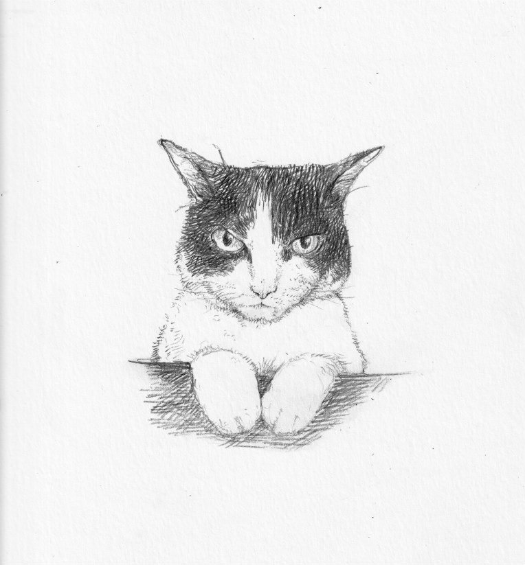 Elisabetta's cat sketch (1) Edward Carey