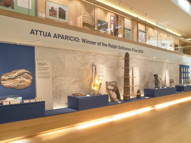 Attua Aparicio Ralph Saltzman Prize Display tDM Tim Marlow