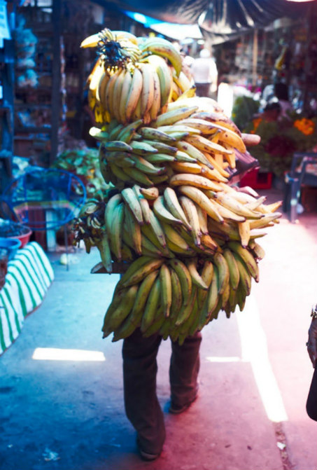 amazon - iquitos - banana man David Prior