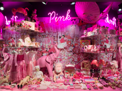 Pink_01 Valerie Steele